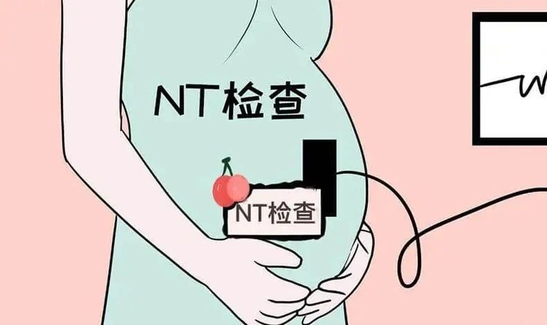̥һP(gun)NTz顱ʋǧfe`