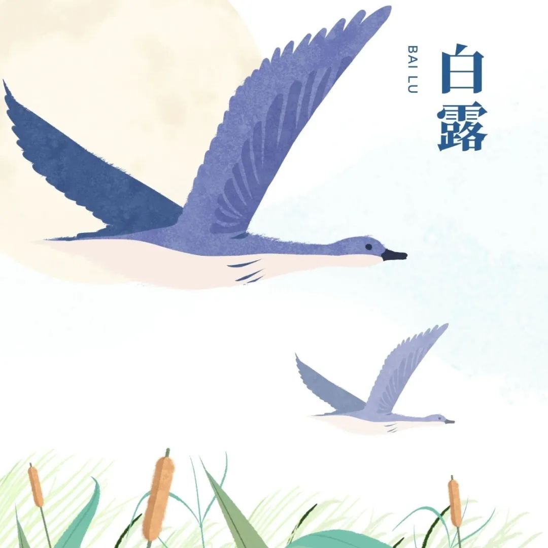 հ¶ | @ЩB(yng)Ҏ(gu)Ҫӛ!